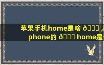 苹果手机home是啥 🐎 ,iphone的 🐛 home是什么意思